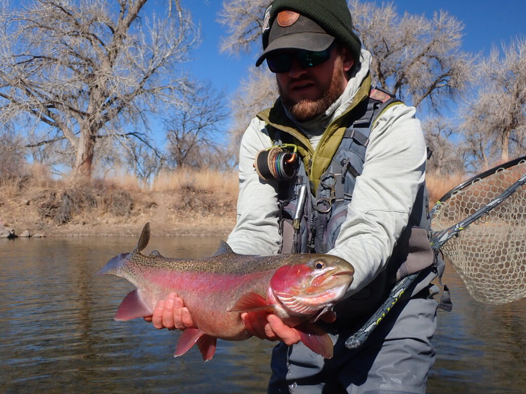 Rainbow Trout Fly Fishing Arkansas river Pueblo