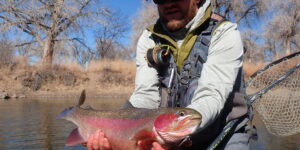 Rainbow Trout Fly Fishing Arkansas river Pueblo